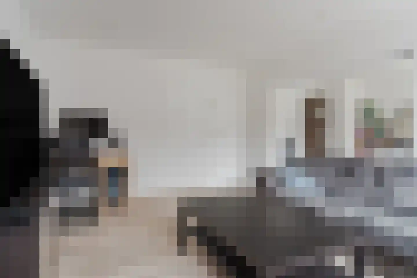 Europalaan 199 Tilburg thumbnail 4