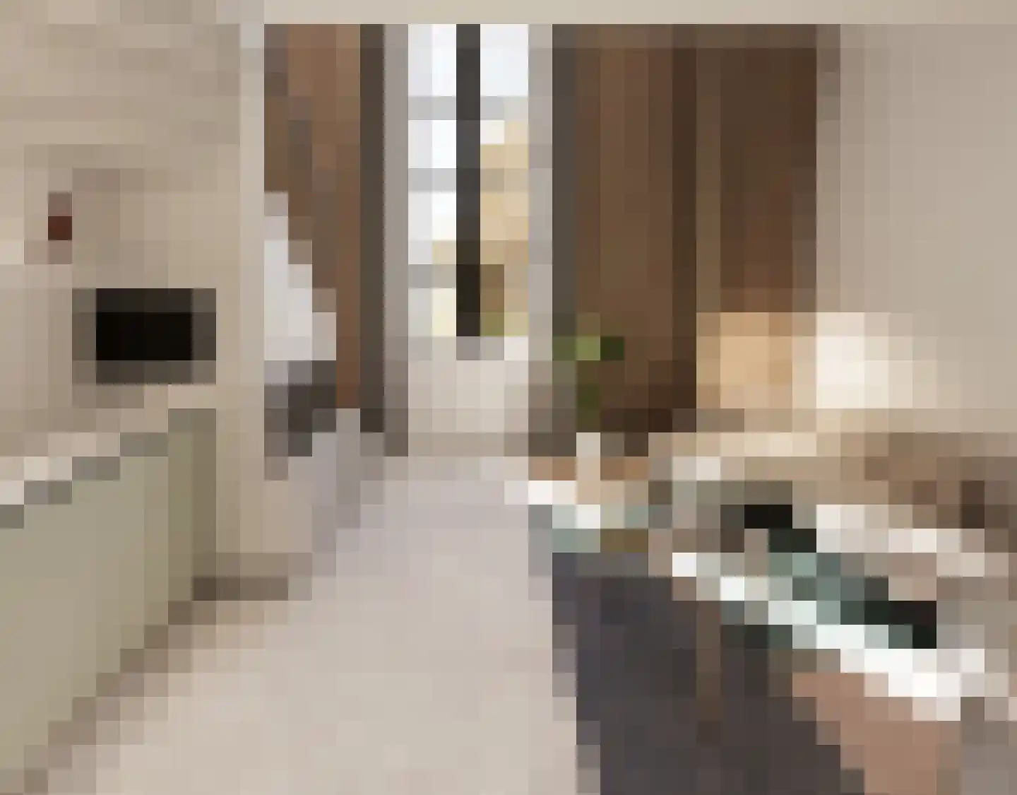 Europalaan 2 E Renkum thumbnail 4