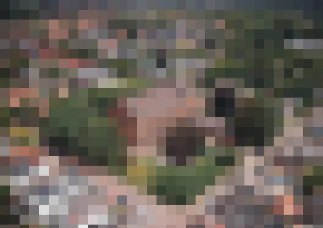 Europalaan 2 E Renkum thumbnail 9