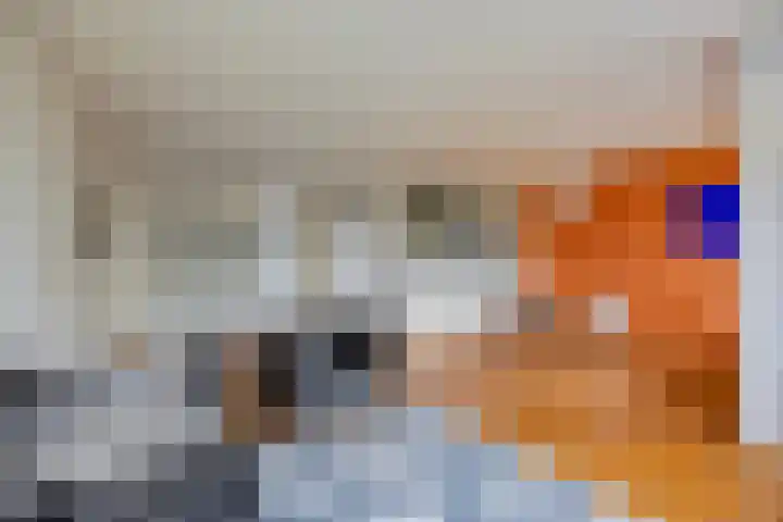 Europalaan 20 Eindhoven thumbnail 11
