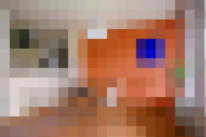 Europalaan 20 Eindhoven thumbnail 12