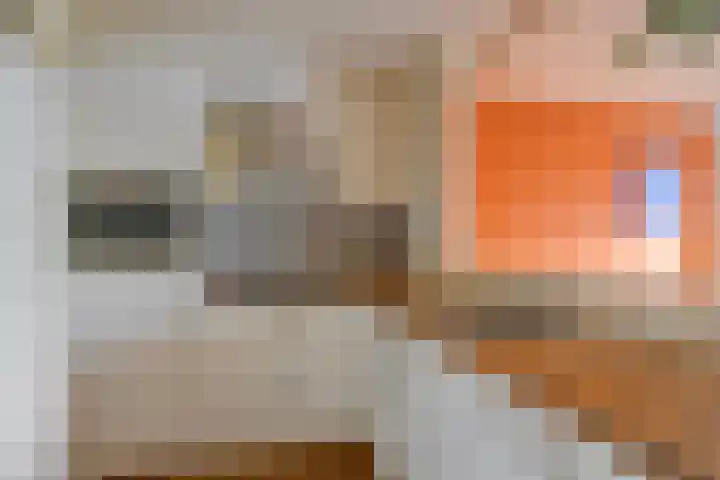 Europalaan 20 Eindhoven thumbnail 14