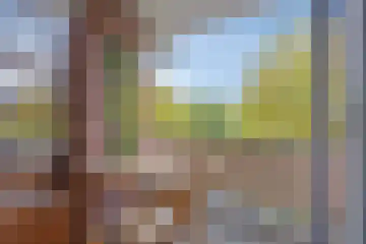 Europalaan 20 Eindhoven thumbnail 16
