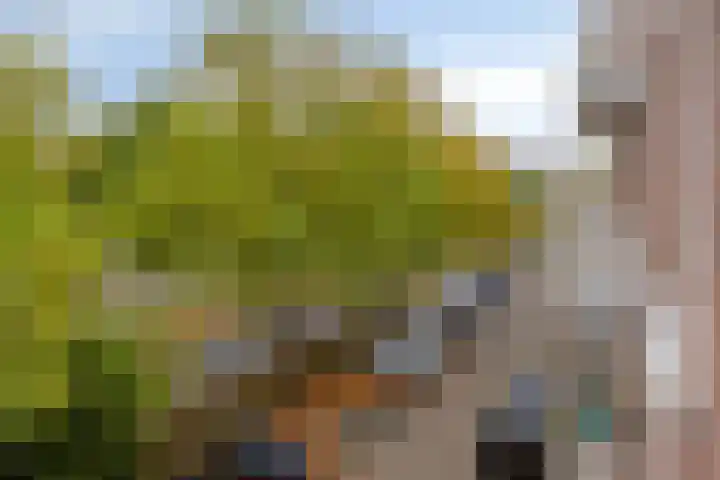 Europalaan 20 Eindhoven thumbnail 17