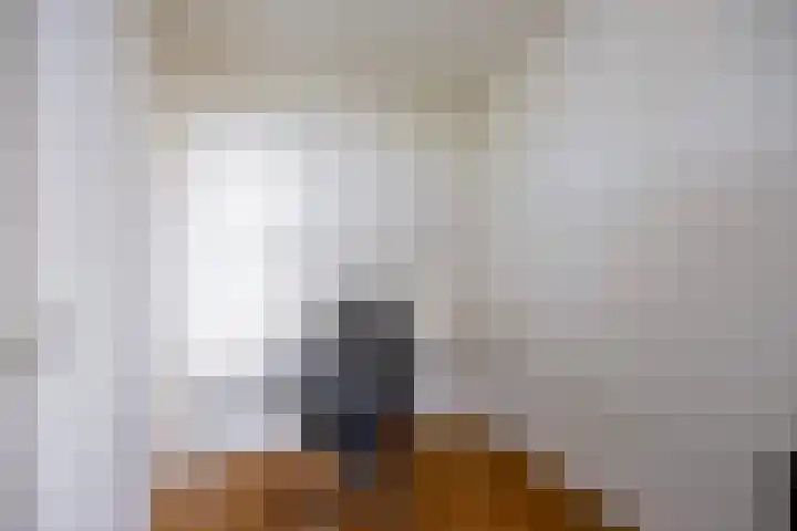 Europalaan 20 Eindhoven thumbnail 21