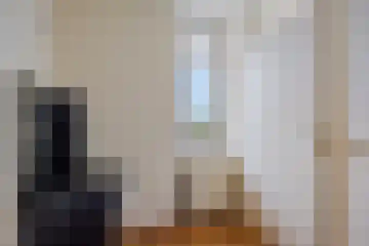 Europalaan 20 Eindhoven thumbnail 22
