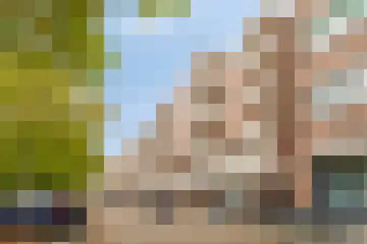 Europalaan 20 Eindhoven thumbnail 24
