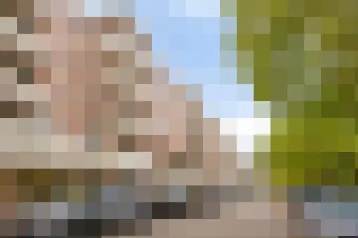 Europalaan 20 Eindhoven thumbnail 25