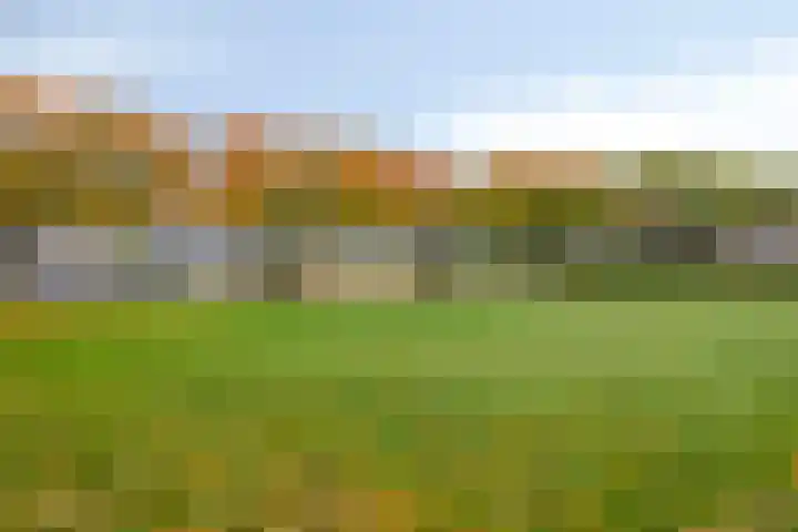 Europalaan 20 Eindhoven thumbnail 26