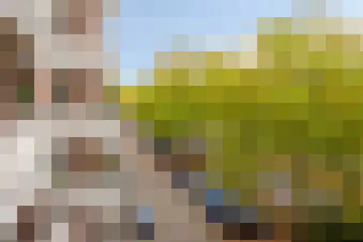 Europalaan 20 Eindhoven thumbnail 4