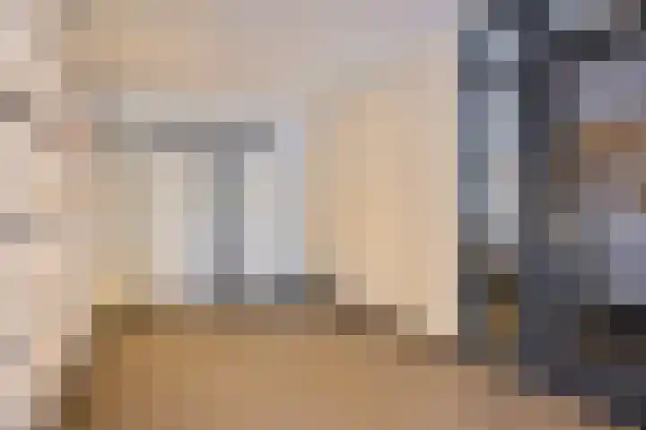 Europalaan 20 Eindhoven thumbnail 6