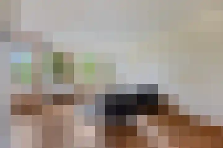 Europalaan 20 Eindhoven thumbnail 9