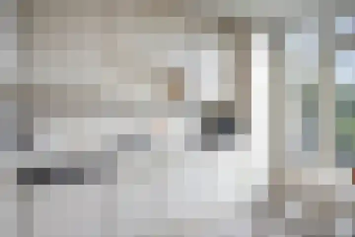 Europalaan 20 Tilburg thumbnail 10