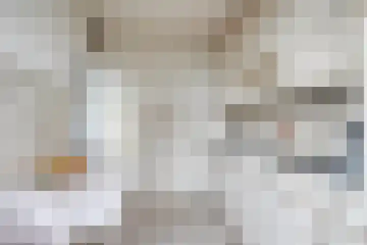 Europalaan 20 Tilburg thumbnail 11