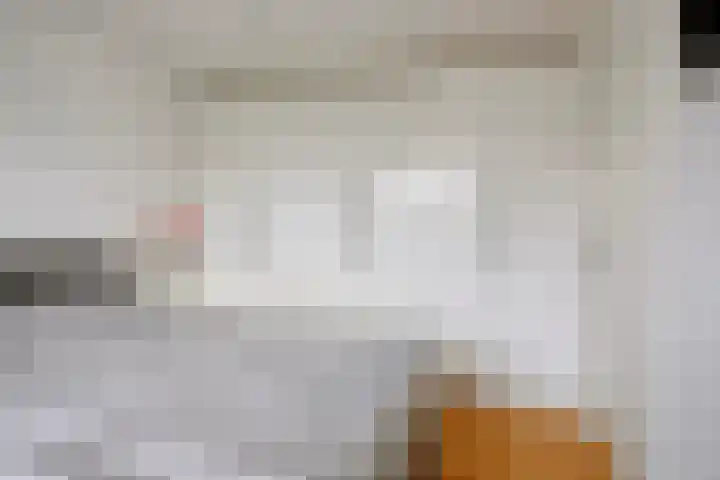 Europalaan 20 Tilburg thumbnail 16