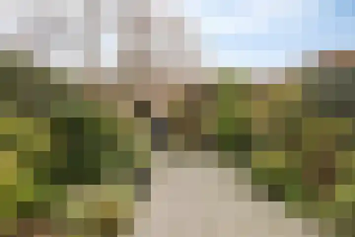 Europalaan 20 Tilburg thumbnail 21