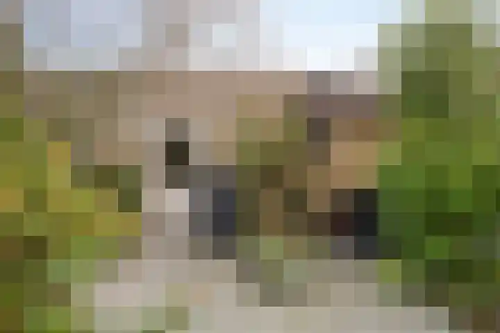 Europalaan 20 Tilburg thumbnail 22