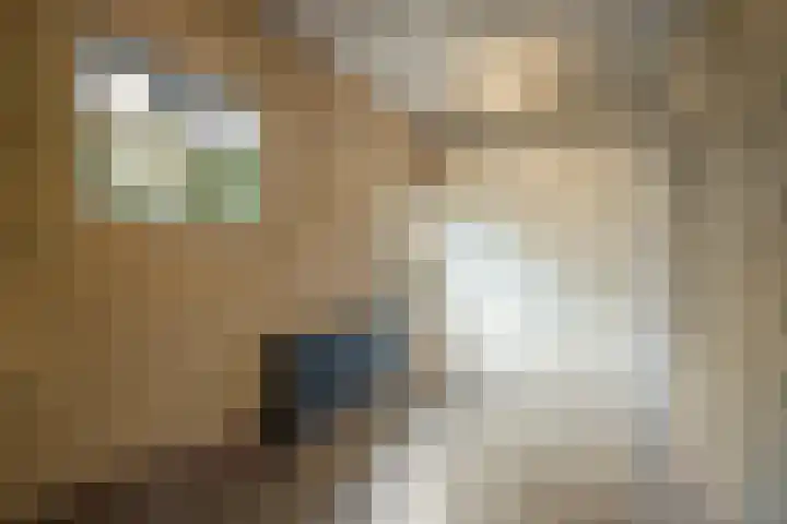 Europalaan 20 Tilburg thumbnail 26