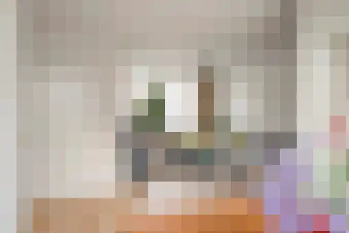 Europalaan 20 Tilburg thumbnail 7