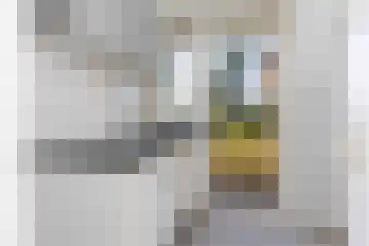 Europalaan 204 Enschede thumbnail 15