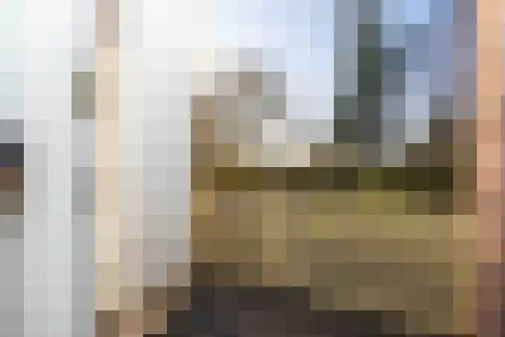 Europalaan 204 Enschede thumbnail 16