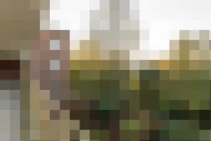 Europalaan 204 Enschede thumbnail 17