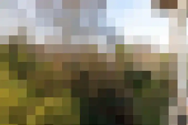 Europalaan 204 Enschede thumbnail 18
