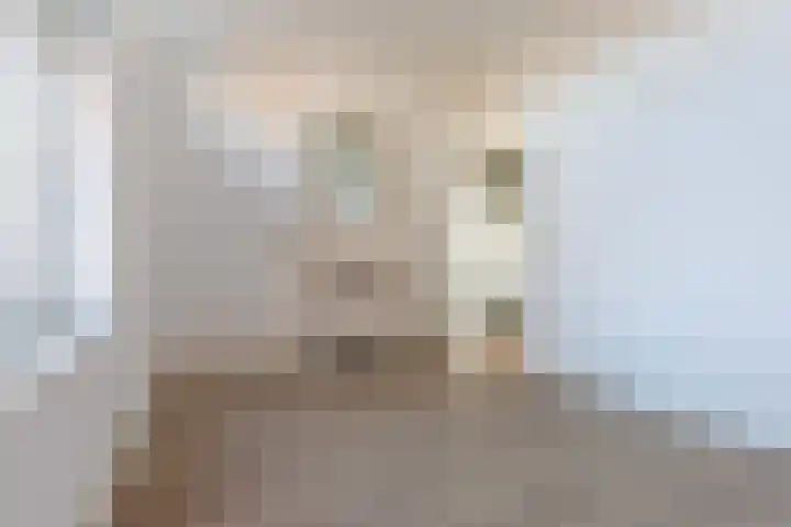 Europalaan 204 Enschede thumbnail 7