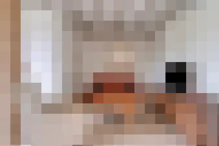 Europalaan 204 Nuenen thumbnail 12