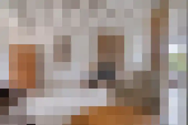 Europalaan 204 Nuenen thumbnail 13