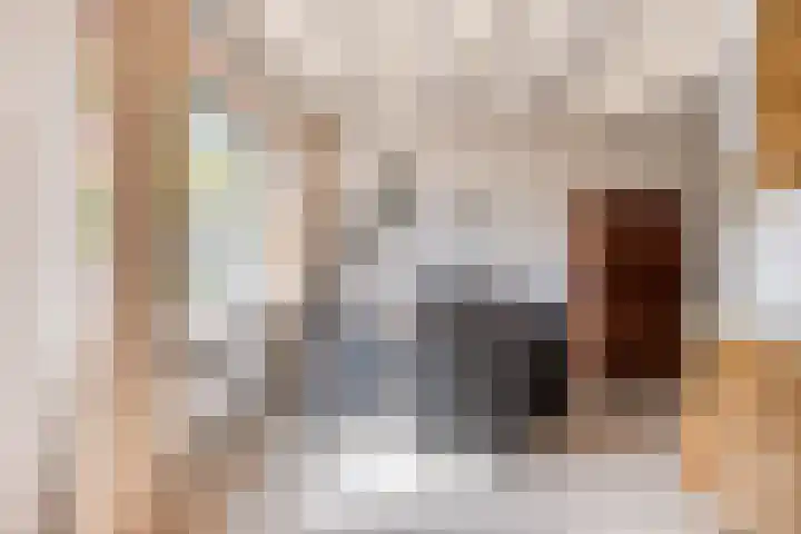 Europalaan 204 Nuenen thumbnail 15