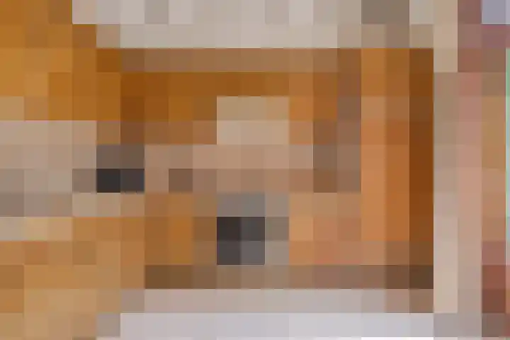 Europalaan 204 Nuenen thumbnail 16