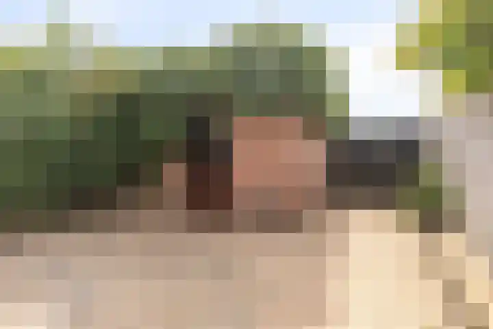 Europalaan 204 Nuenen thumbnail 28