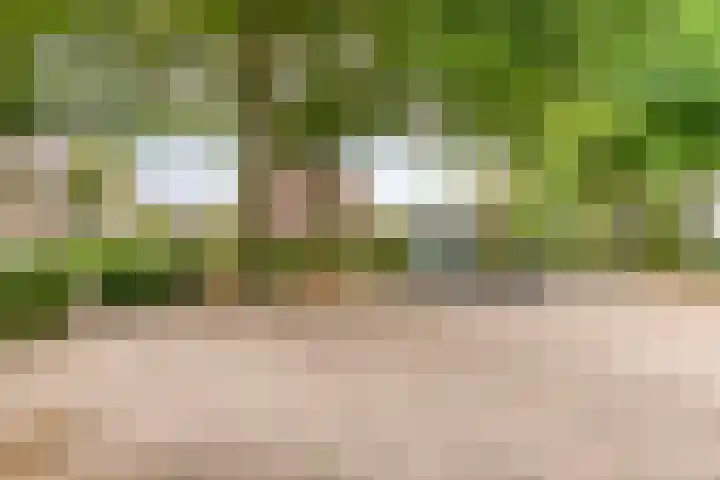 Europalaan 204 Nuenen thumbnail 32
