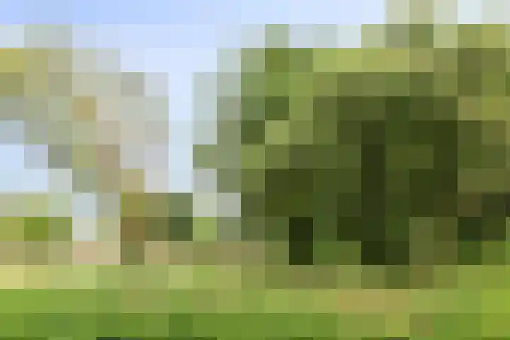 Europalaan 204 Nuenen thumbnail 33