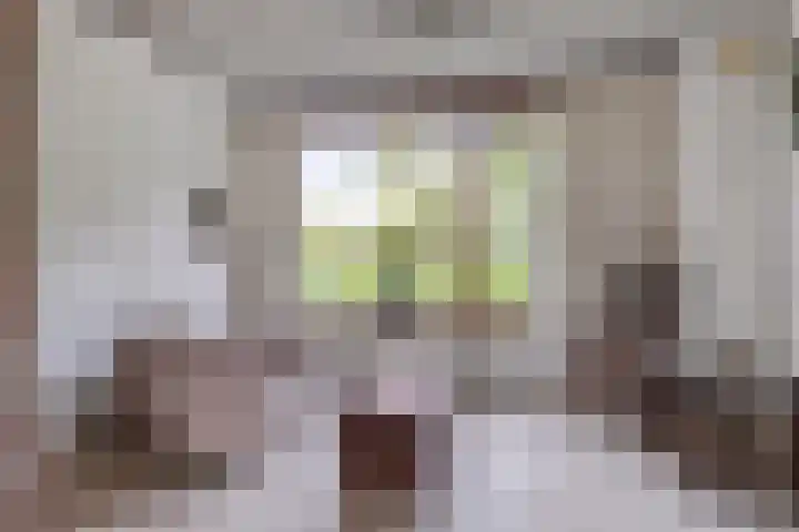 Europalaan 204 Nuenen thumbnail 8