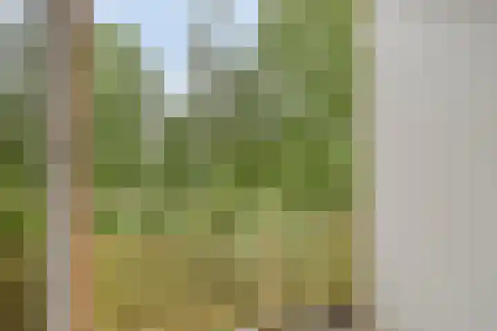 Europalaan 206 Enschede thumbnail 20