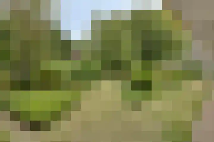 Europalaan 206 Enschede thumbnail 21
