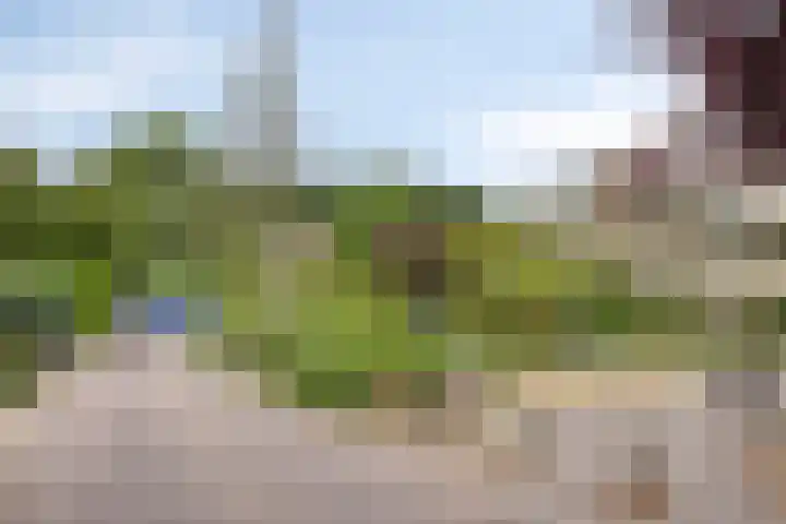 Europalaan 206 Enschede thumbnail 4