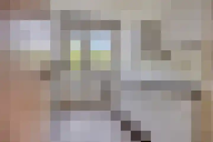 Europalaan 207 Tilburg thumbnail 10