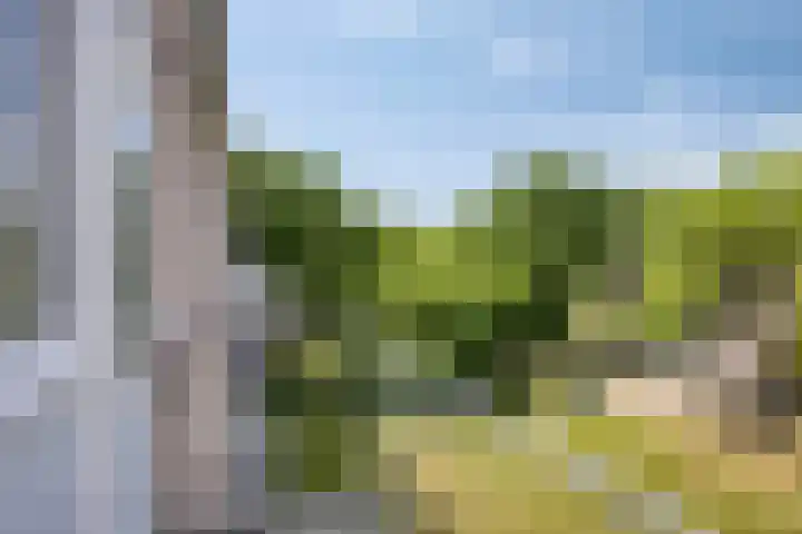 Europalaan 207 Tilburg thumbnail 12