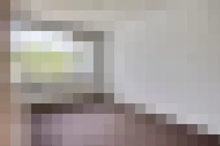 Europalaan 207 Tilburg thumbnail 16