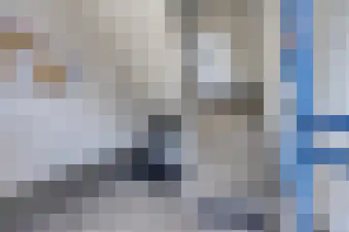 Europalaan 207 Tilburg thumbnail 4
