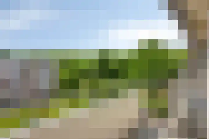 Europalaan 207 Tilburg thumbnail 9
