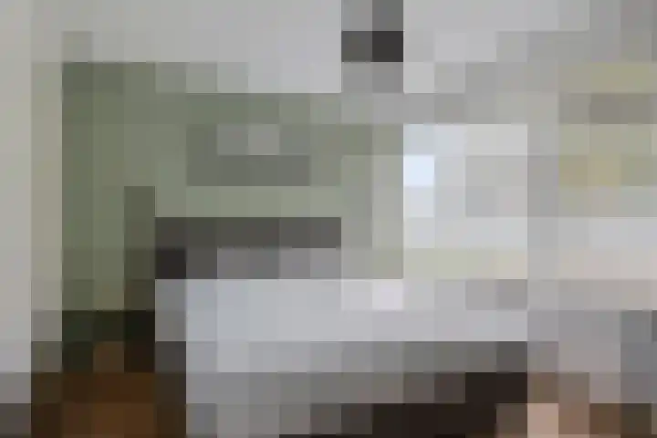 Europalaan 212 Nuenen thumbnail 12