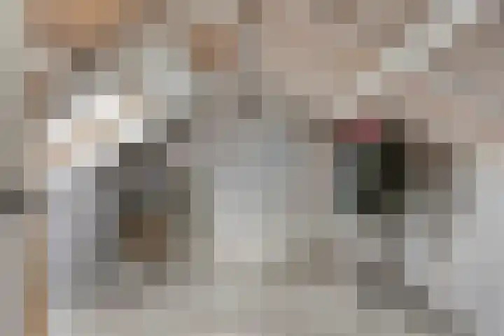 Europalaan 212 Nuenen thumbnail 17