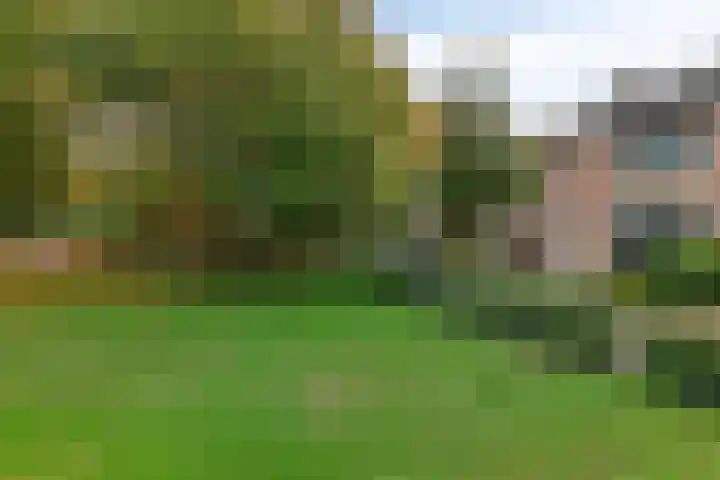 Europalaan 212 Nuenen thumbnail 22
