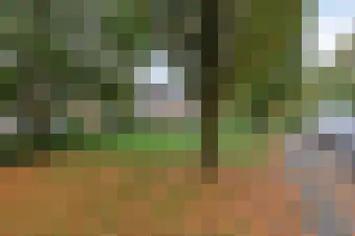 Europalaan 212 Nuenen thumbnail 23