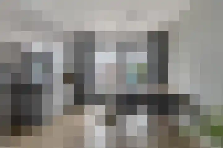 Europalaan 212 Nuenen thumbnail 9