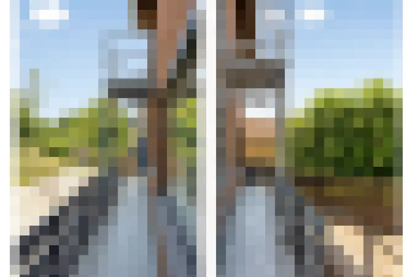 Europalaan 22 Obbicht thumbnail 22